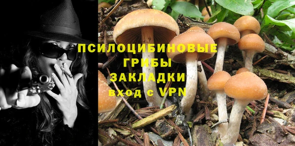 наркотики Богданович